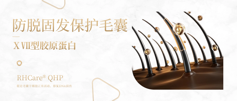 迪诺薇华ⅩⅦ 型胶原蛋白 | 一种可防脱生发、无“狂脱期”的神奇胶原蛋白