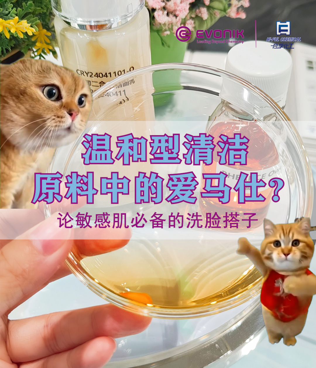 内部产品调查档案001卷-洗卸二合一洁面乳